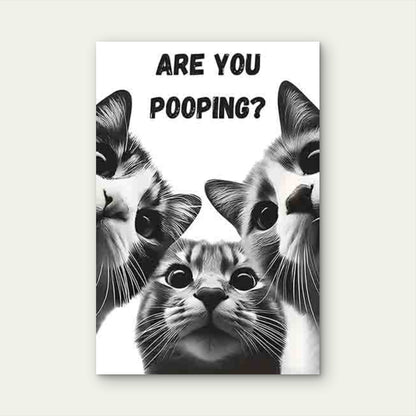 Three Wide-Eyed Cats with The Text ARE YOU POO 40x60cm Metal Print Ready to Hang - Bella Home Decor