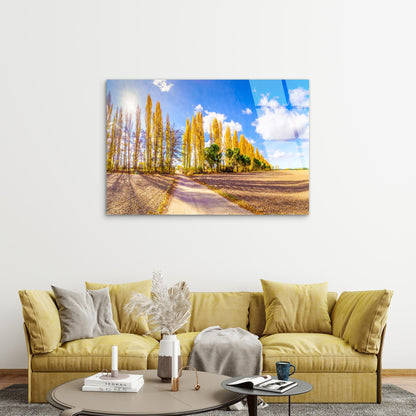 Gould Memorial Drive Marysville Autumn Acrylic Glass Printing Wall Art Australian Made Quality