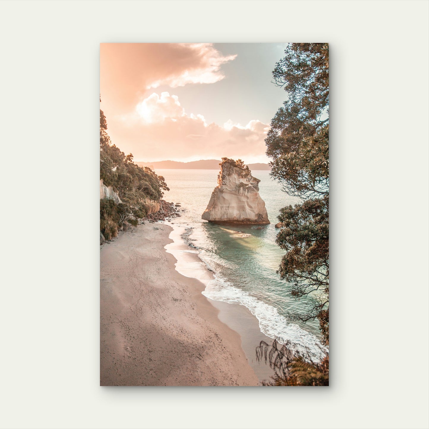 Scenic View Of Cathedral Cove New Zealand's North Island 40x60cm Metal Print Ready to Hang