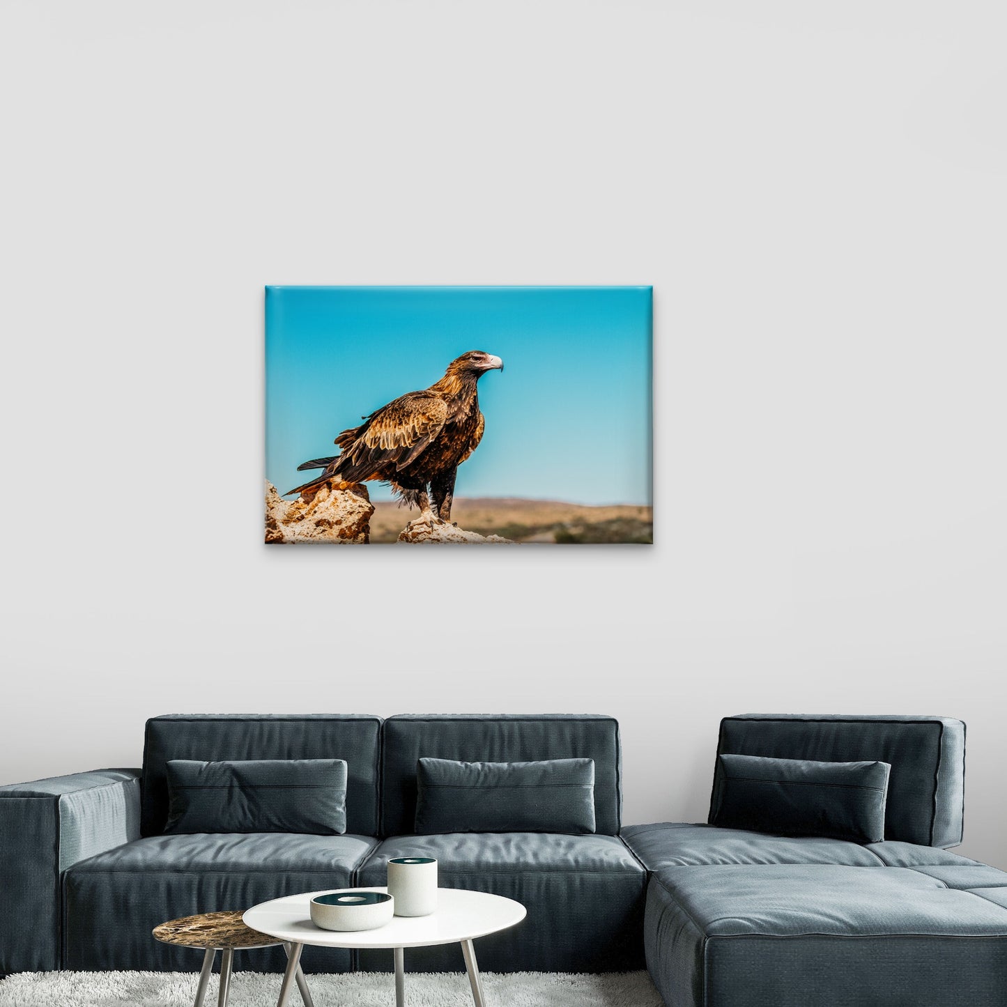 Striking Desert Perch Wedge Tailed Eagle Landmark Wildlife Australia Wall Art Decor 100% Australian Made