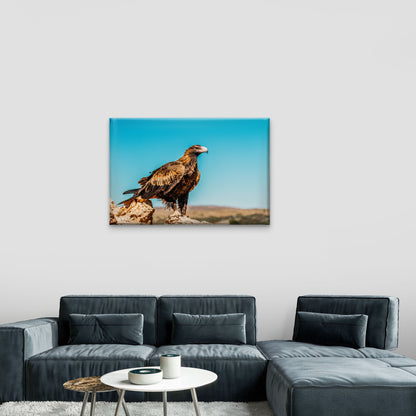 Striking Desert Perch Wedge Tailed Eagle Landmark Wildlife Australia Wall Art Decor 100% Australian Made