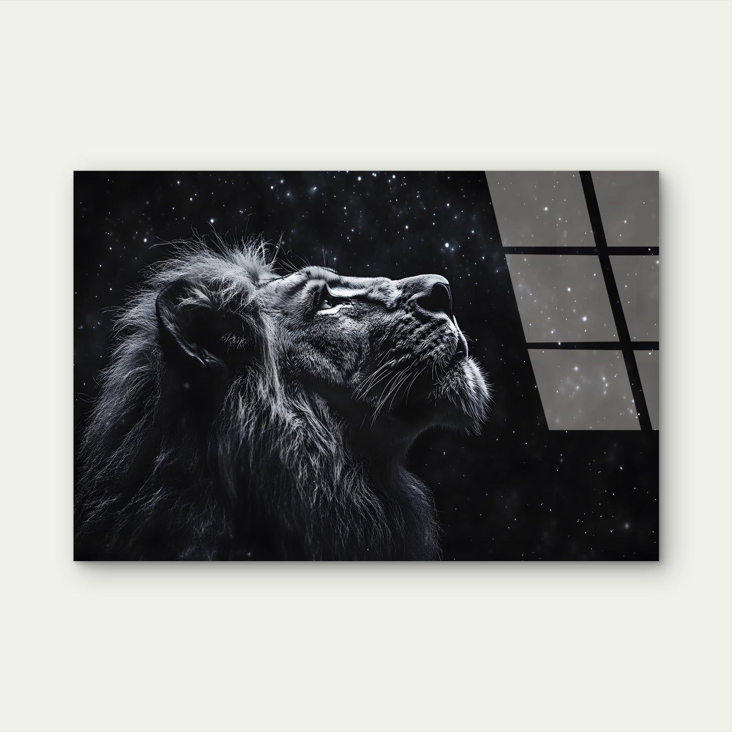 Majestic Lion Gazing Night Sky Acrylic Glass Printing Wall Art Australian Made Quality
