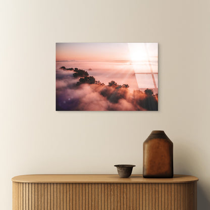 Misty Rose Sunrise Tree Canopy Acrylic Glass Printing Wall Art Australian Made Quality