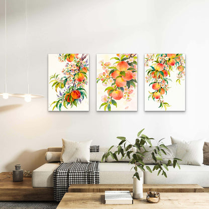 3pcs Watercolor Peach Fruit Branches Blossoms Wall Art Set Canvas Framed 60x90cm- High Quality Print 100% Australian Made Wall Canvas Ready to Hang