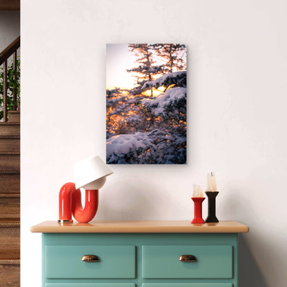 Winter Snow Pine Tree Branch Sunset Art 40x60cm Metal Print Ready to Hang