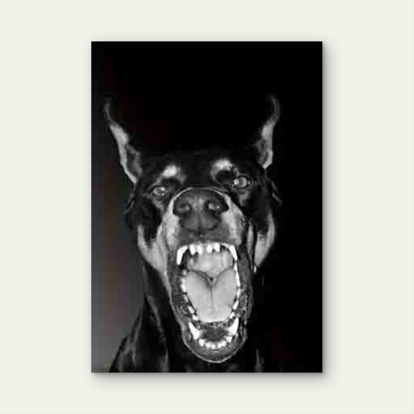 Black & White Aggressive Doberman Metal Print Ready to Hang - Bella Home Decor