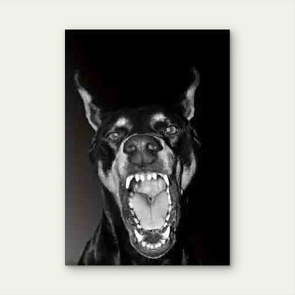 Black & White Aggressive Doberman Metal Print Ready to Hang - Bella Home Decor