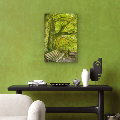 Vibrant Nature Woodland Path Foliage 40x60cm Metal Print Ready to Hang