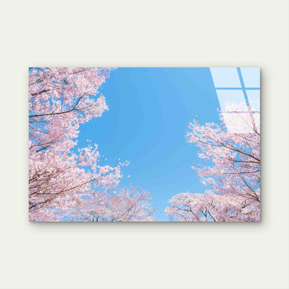 Pink Spring Blossom Tempered Glass Printing Wall Art Australian Made Quality