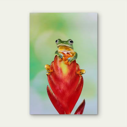 Flying Frog Sit Flower Buds Beautiful Tree Frog Branch 40x60cm Metal Print Ready to Hang