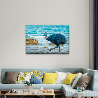 Southern Cassowary Striding Along the Sandy Beaches of Etty Bay, Queensland Wall Art Decor 100% Australian Made