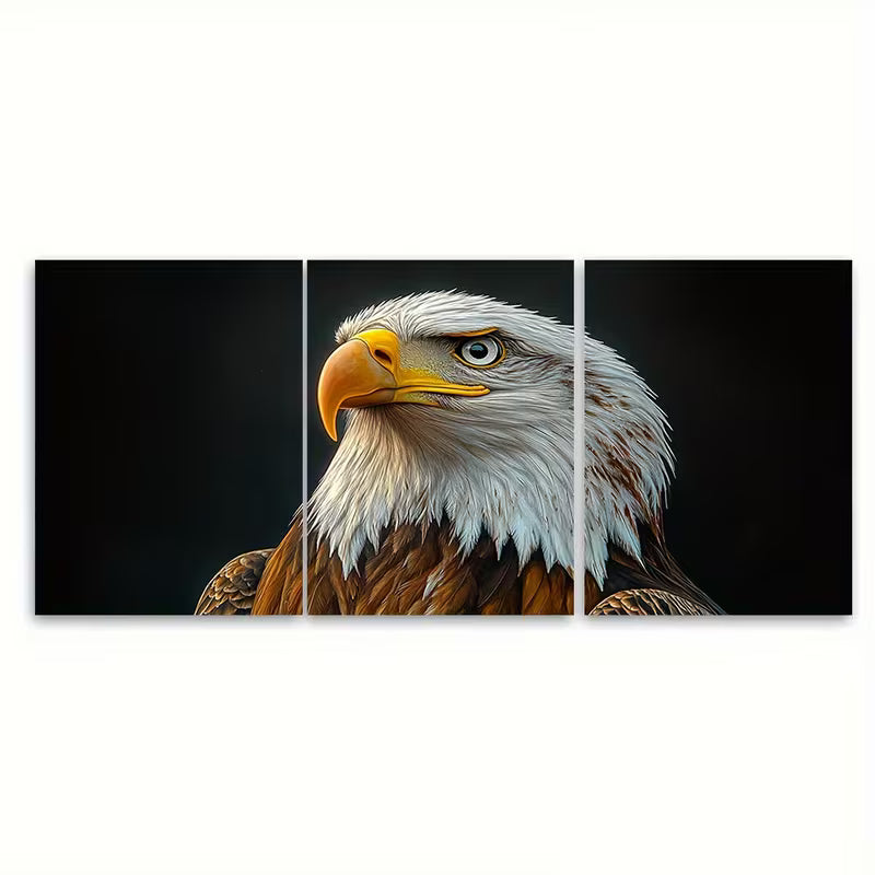3pcs Bald Eagle Painting Bird Portrait Metal Print Ready to Hang Art - Bella Home Decor