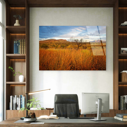 MacDonnell Ranges Desert Bush Grass Acrylic Glass Printing Wall Art Australian Made Quality