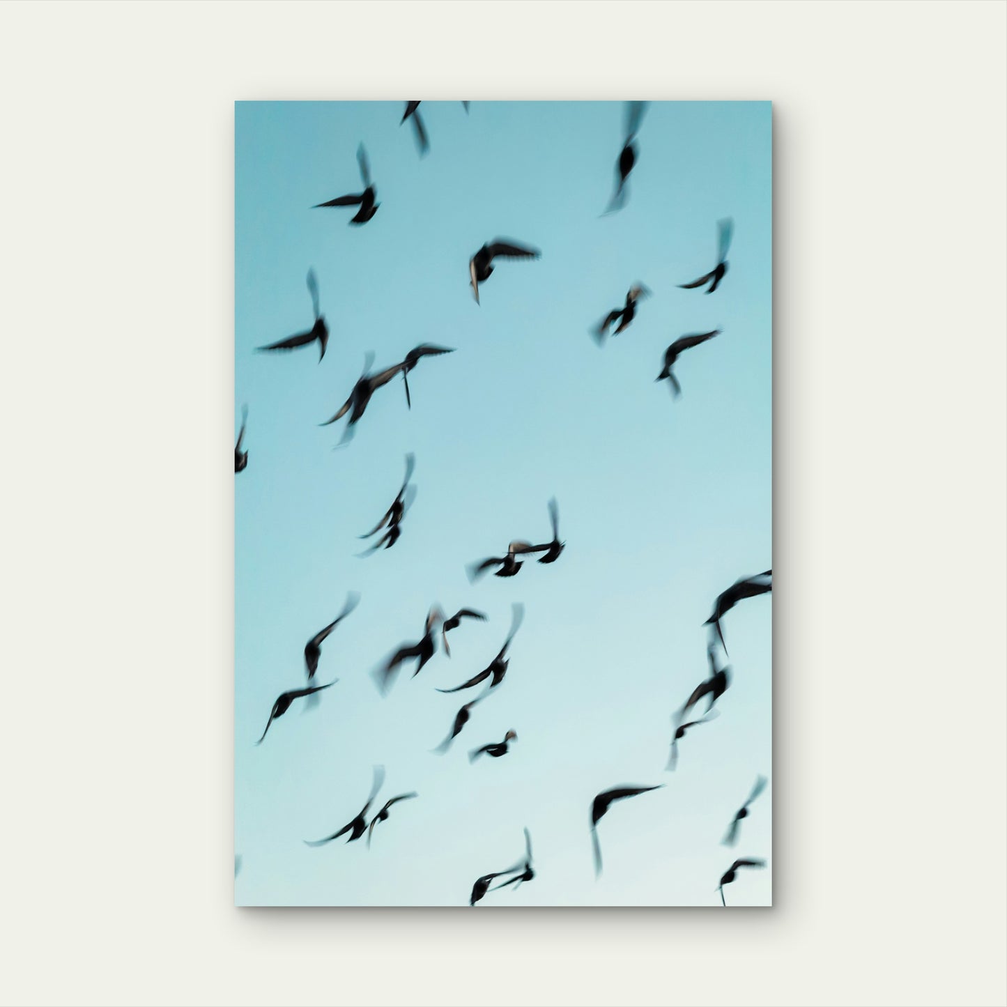 Flock of Birds in Flight Against Light Blue Sky 60x90cm Metal Print Ready to Hang