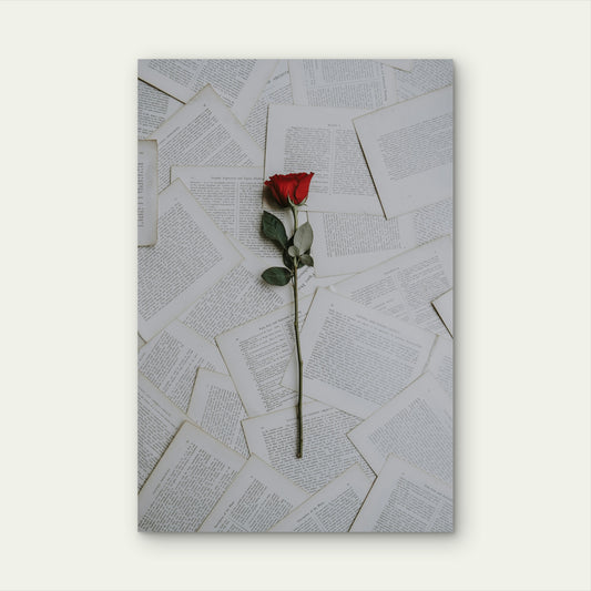 Red Rose On Book Sheets 60x90cm Metal Print Ready to Hang