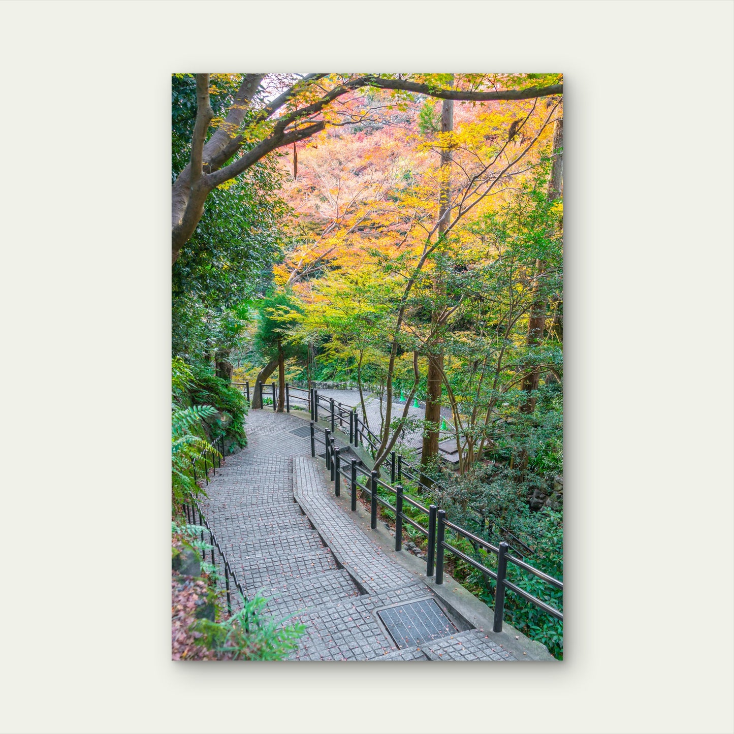Japan Kyoto Autumn Forest Pathway 40x60cm Metal Print Ready to Hang