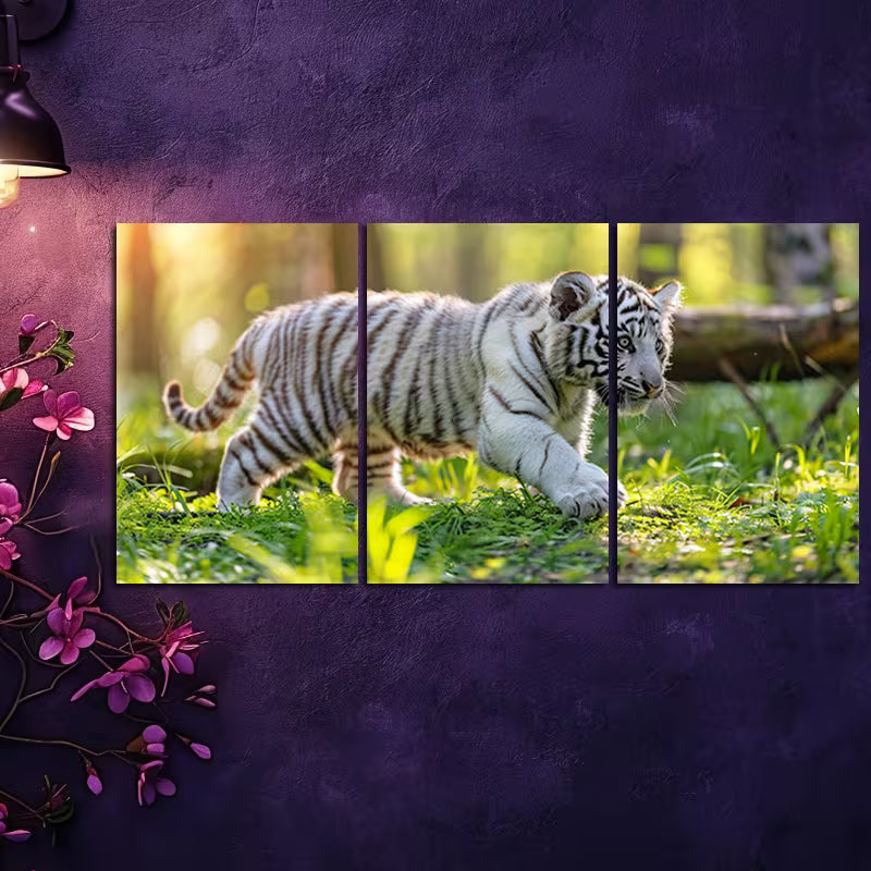 3pcs White Tiger Cub Wall Art Set Canvas Framed 50x70cm - High Quality Print 100% Australian Made Wall Canvas Ready to Hang