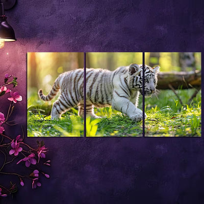 3pcs White Tiger Cub Wall Art Set Canvas Framed 50x70cm - High Quality Print 100% Australian Made Wall Canvas Ready to Hang