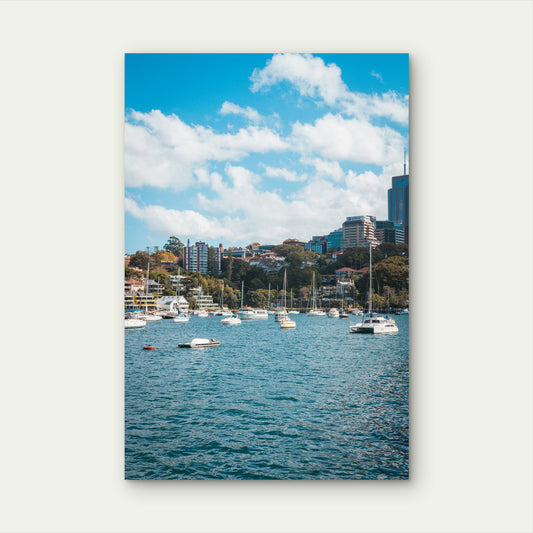 Sydney Harbor Lavender Bay Yachts Seascape Australia 40x60cm Metal Print Ready