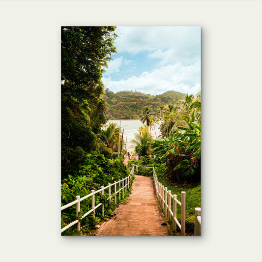 Path Leading Down To A Tropical Beach 60x90cm Metal Print Ready to Hang