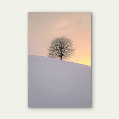 Leafless Tree On A Snow Covered Hill 60x90cm Metal Print Ready to Hang