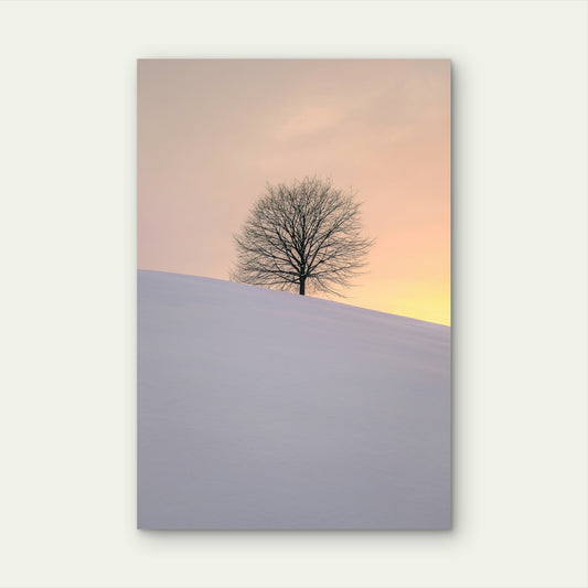 Leafless Tree On A Snow Covered Hill 60x90cm Metal Print Ready to Hang