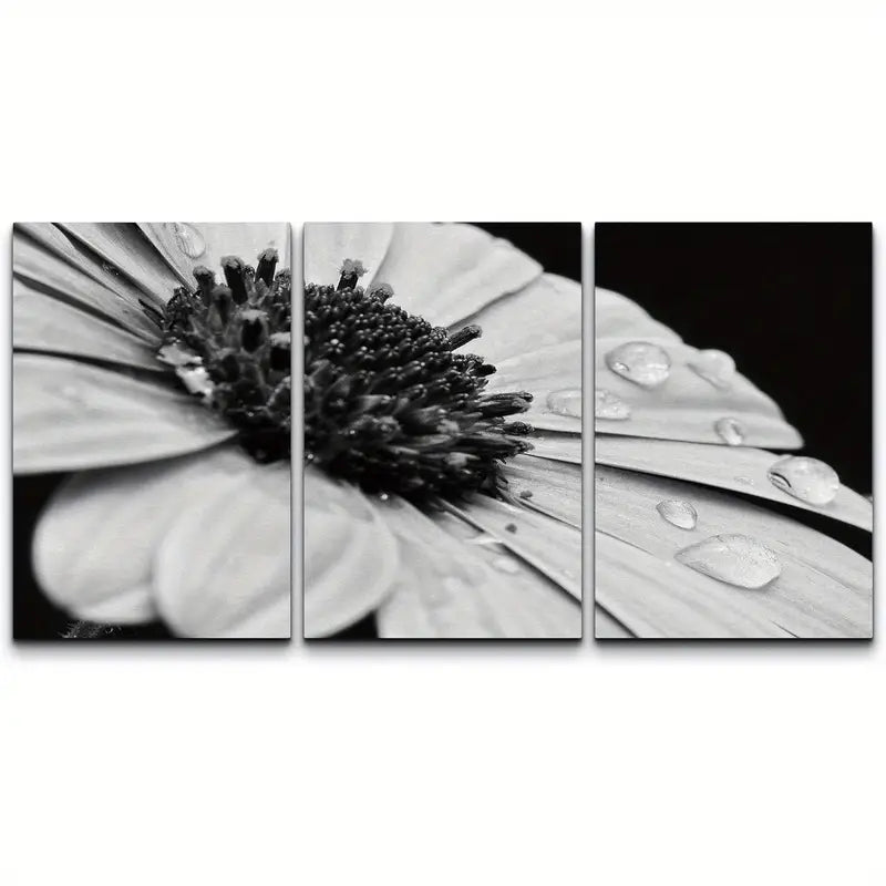 3pcs Black White Daisy With Dew Droplets Canvas Metal Print Ready to Hang Art - Bella Home Decor
