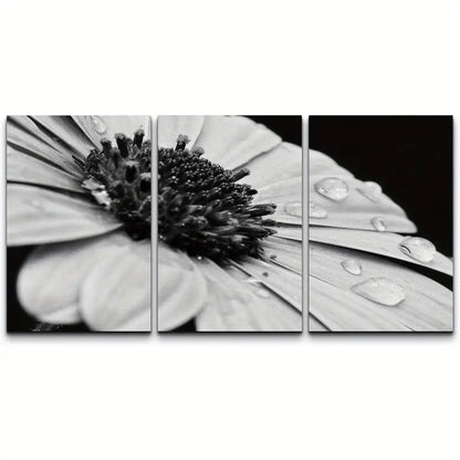 3pcs Black White Daisy With Dew Droplets Canvas Metal Print Ready to Hang Art - Bella Home Decor