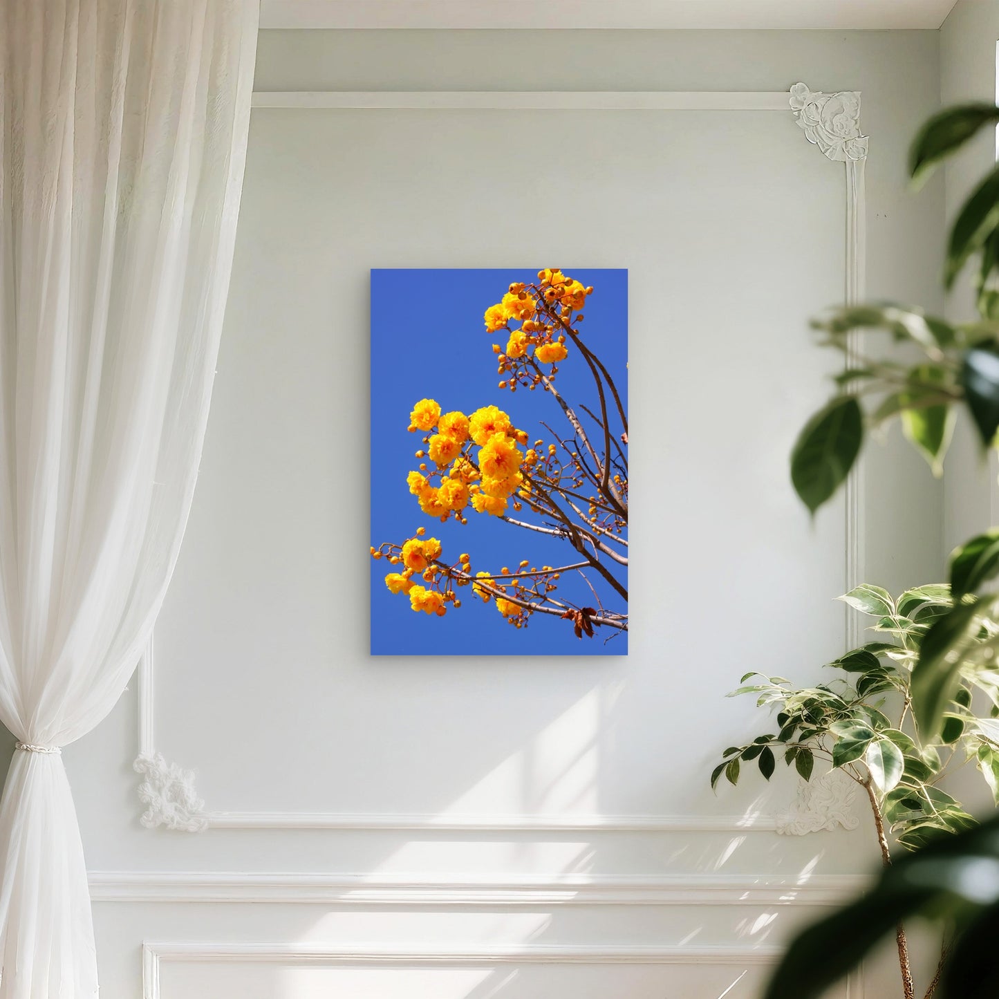Flowers Of The Yellow Silk Cotton Tree 40x60cm Metal Print Ready to Hang