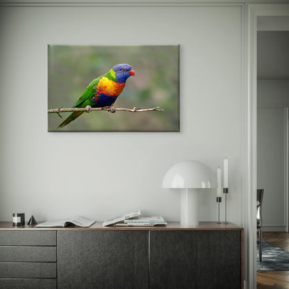 World Famous Vibrant Rainbow Lorikeet Avian Wildlife Ecosystem Australia  Wall Art Decor 100% Australian Made