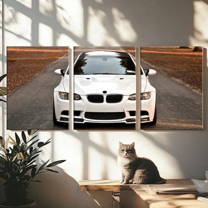 3pcs Supercar Racing Performance Poster Wall Art Set Canvas Framed 50x70cm - High Quality Print 100% Australian Made Wall Canvas Ready to Hang