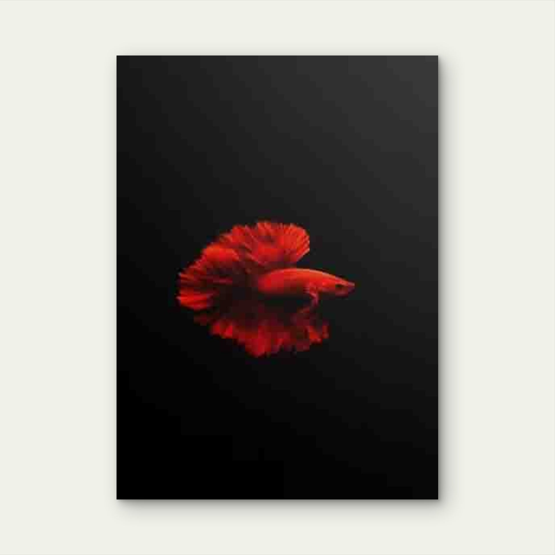 Red Betta Fish Painting 60x90cm Metal Print Ready to Hang - Bella Home Decor
