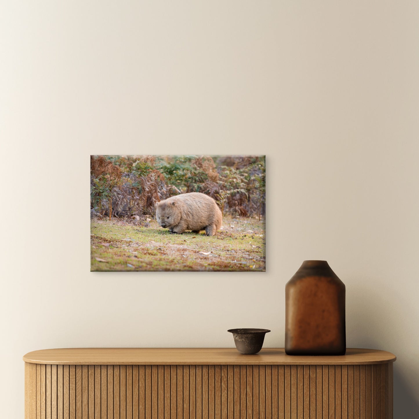 Common Wombat Navigating the Bushlands of Narawntapu National Park, Tasmania Wall Art Decor 100% Australian Made