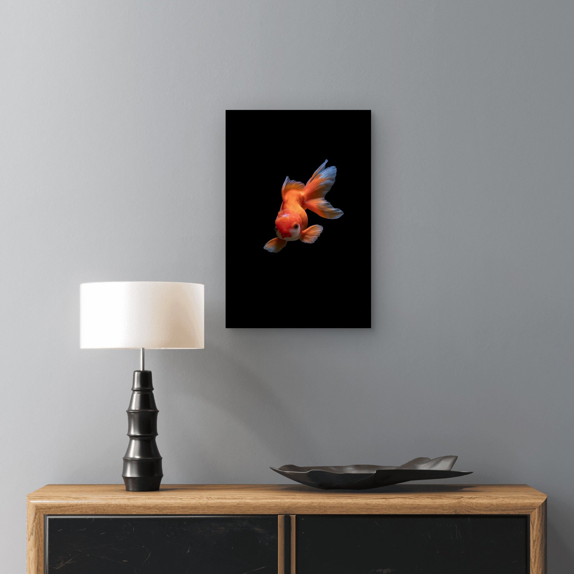 Fancy Goldfish Against Black Background 60x90cm Metal Print Ready to Hang