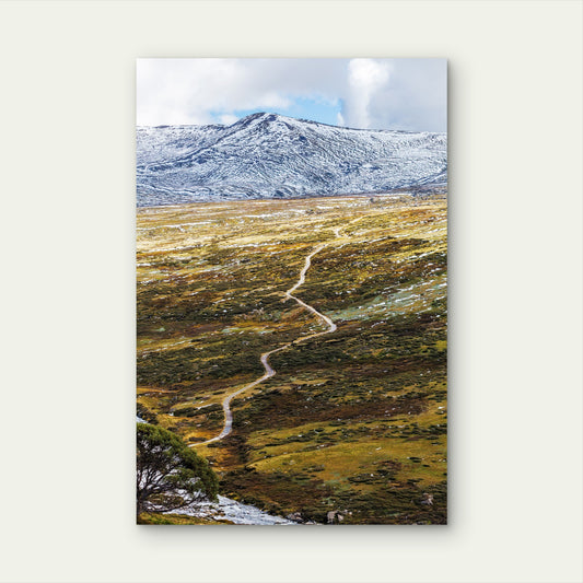 Kosciuszko National Park Peak View Snow Path 40x60cm Metal Print Ready to Hang