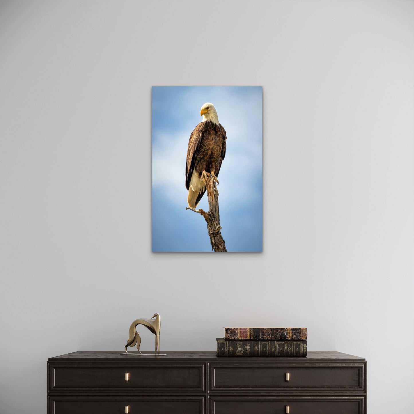 American Bald Eagle Bird Wildlife Nature 40x60cm Metal Print Ready to Hang