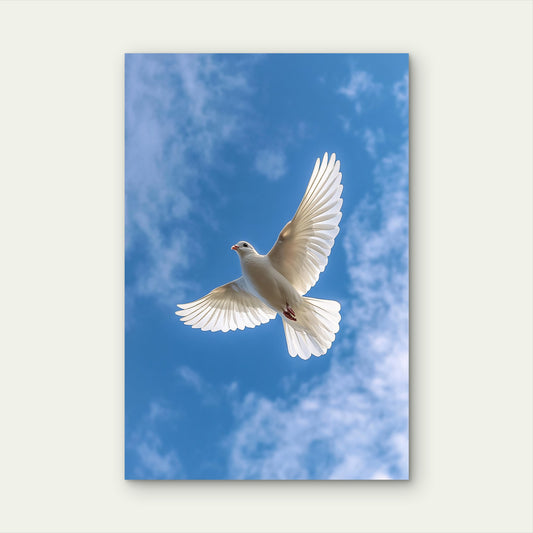 White Dove Flying In Blue Sky Painting 40x60cm Metal Print Ready to Hang
