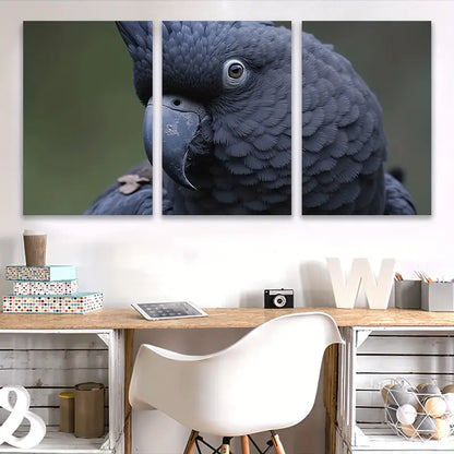 3pcs Adorable Bird Minimal Art Poster Print Wall Art Set Canvas Framed 50x70cm - High Quality Print 100% Australian Made Wall Canvas Ready to Hang - Bella Home Decor