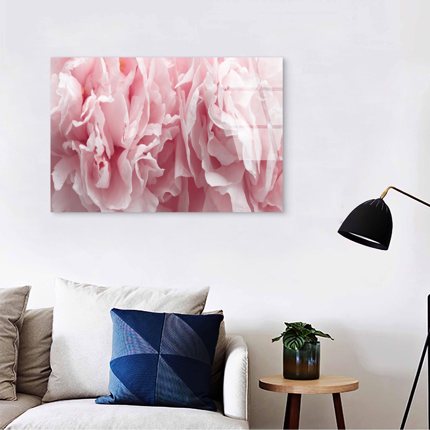 Soft Pink Peony Flower Petals Macro Acrylic Glass Printing Wall Art Australian Made Quality