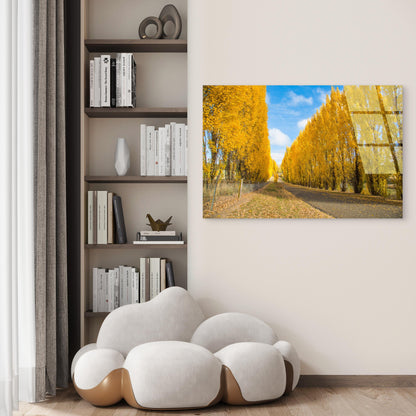 Gould Memorial Drive Autumn Gold Trees  Acrylic Glass Printing Wall Art Australian Made Quality