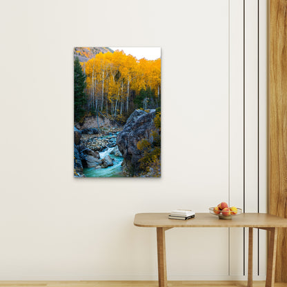 Quaking Aspens in Autumn Mountains 40x60cm Metal Print Ready to Hang