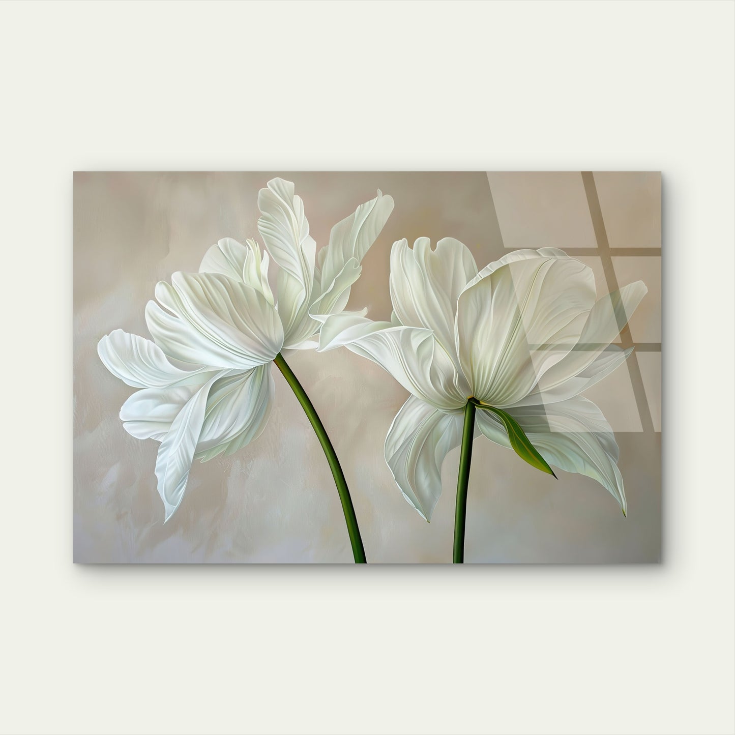 Elegant White Tulips Flowers Botanical Minimalist Neutral Background Acrylic Glass Printing Wall Art Australian Made Quality