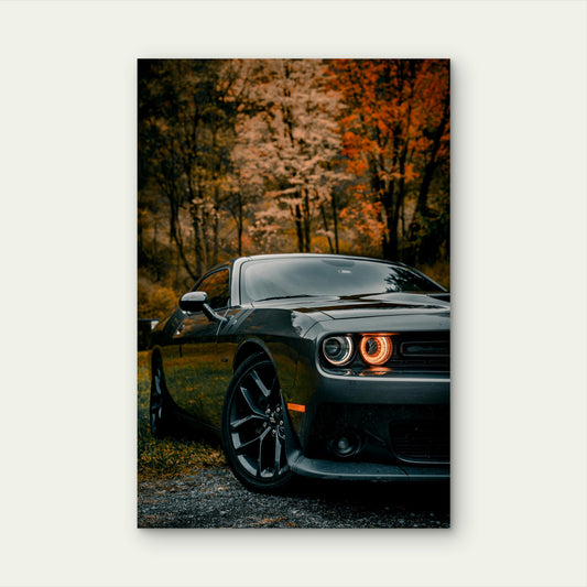 Sleek Black Dodge Challenger Autumn Muscle 40x60cm Metal Print Ready to Hang