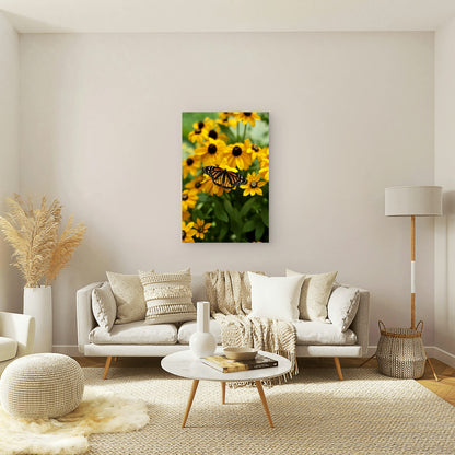 Monarch Butterfly on Yellow Flowers 40x60cm Metal Print Ready to Hang