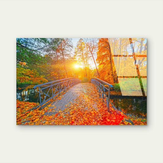 Autumn Forest Bridge Sunlight Glass Printing Wall Art Australian Made Quality