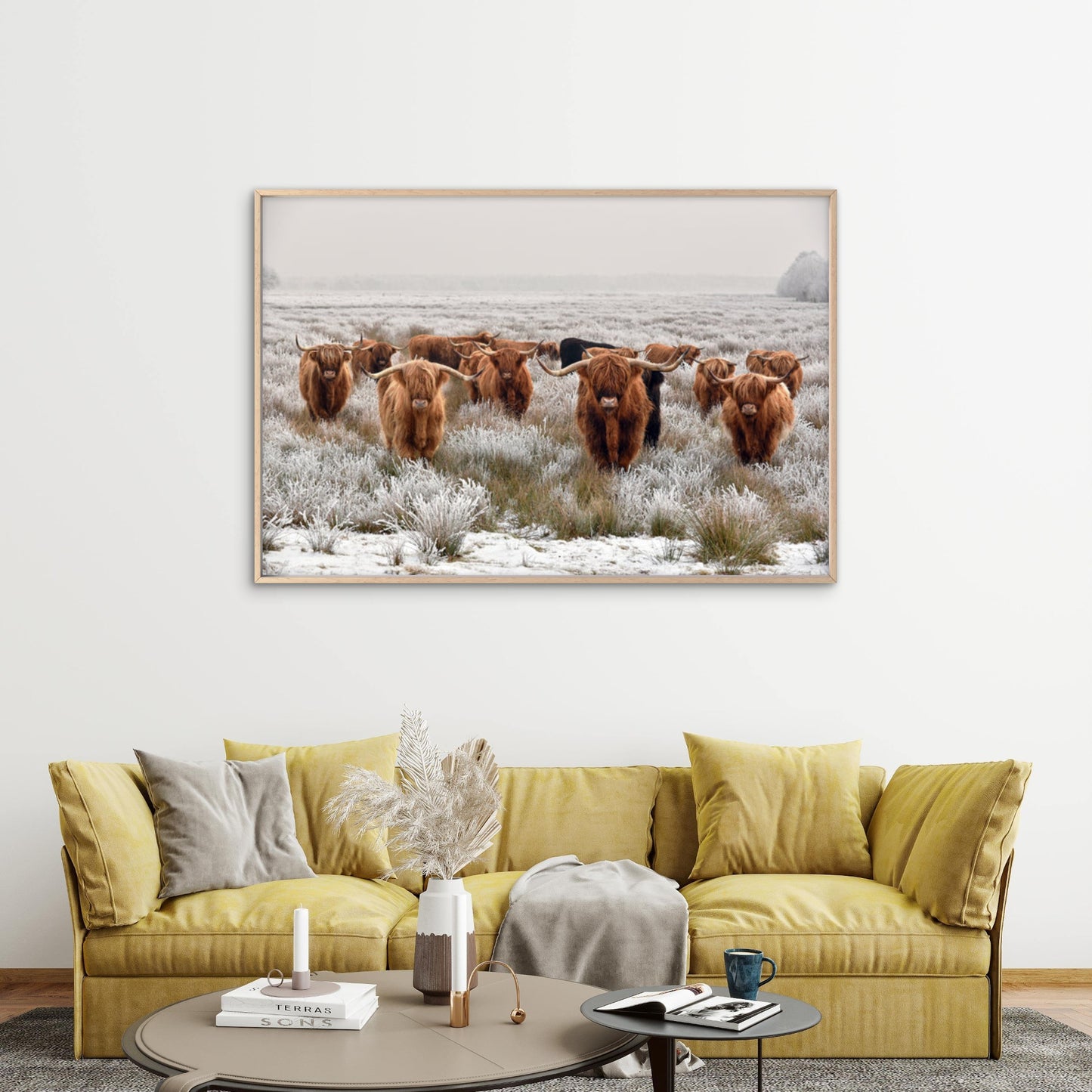 Highland Cow herd Photograph Print 100% Australian Made - Bella Home Decor