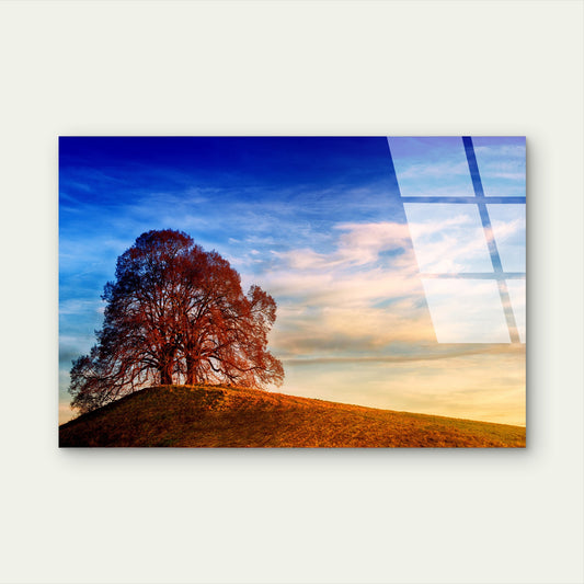 Autumn Tree Hill Countryside Acrylic Glass Printing Wall Art Australian Made Quality