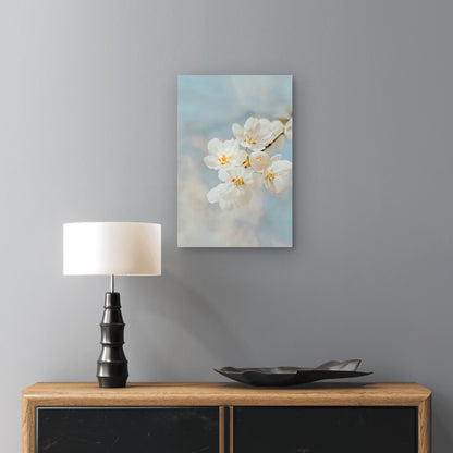 White Cherry Blossom in Close-Up Photography 60x90cm Metal Print Ready to Hang
