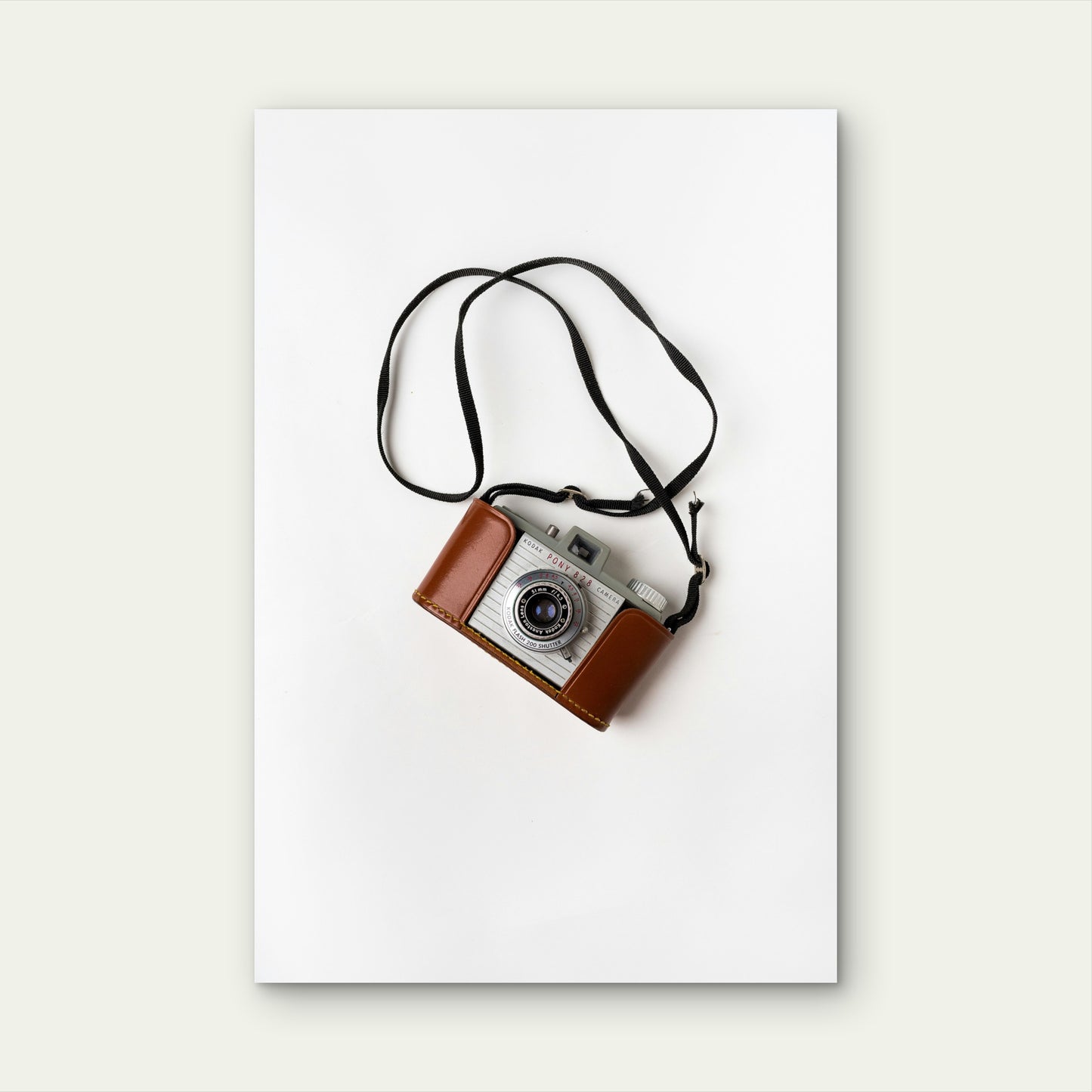 Kodak Pony 828 Film Camera 60x90cm Metal Print Ready to Hang