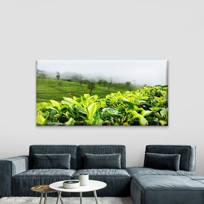 Green Tea Plantation View Wall Art Canvas Office Home Room Framed 120x60cm - Bella Home Decor